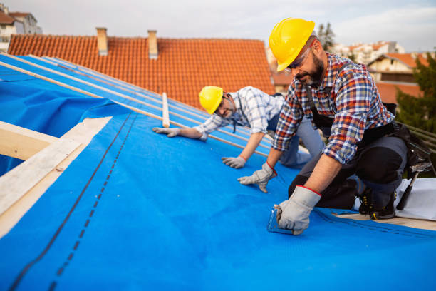 Roof Gutter Cleaning in Palatka, FL